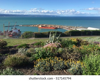 Bluff Hill Walking Track In Napier Port 