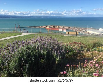 Bluff Hill Walking Track In Napier Port 