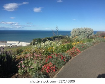 Bluff Hill Walking Track In Napier Port 