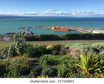 Bluff Hill Walking Track In Napier Port 