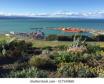 Bluff Hill Walking Track In Napier Port 