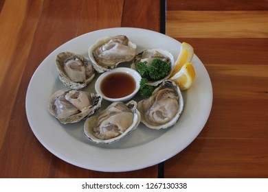 Bluff Oysters Shucked And On A Plate