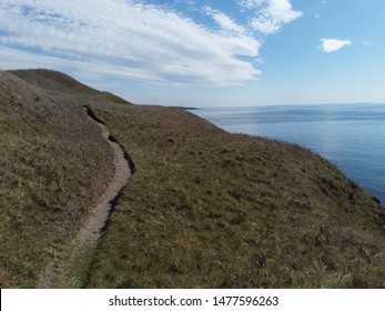 A Bluff Trail On Friday Harbor