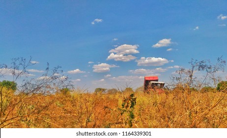 bluish sky with clouds