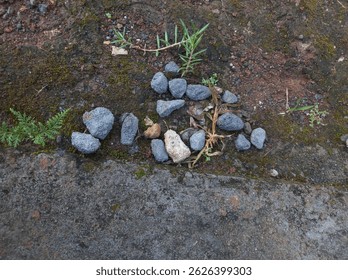 A bluish-gray stone with a subtle luster and a pattern of white veins spreading across its surface