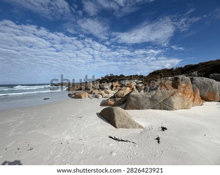 Blunders on a deserted beach with white sand