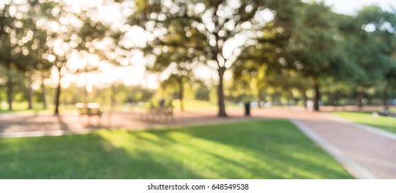 Blur abstract of urban park in downtown Houston, Texas, US with huge live oak trees, trails and bench illuminated by sunshine alley during sunset. Defocused, bokeh natural background. Panorama style.