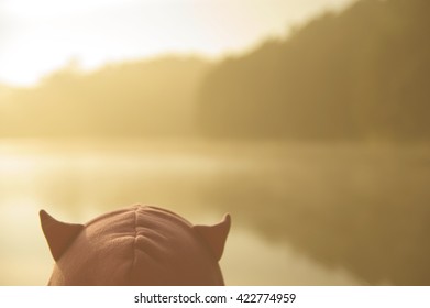 blur background