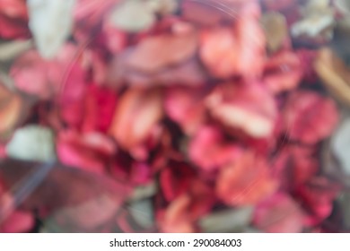 Blur background from leaf beautiful background