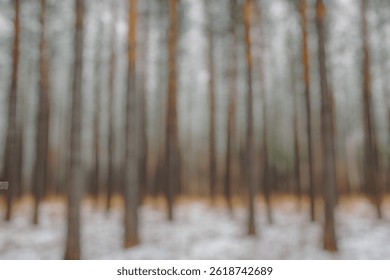 Blur Background of Peaceful Snowy Forest Scene with Tall Pine Trees Surrounded by Frosted Ground and Sparse Brown Grass. Defocused Image for Background. - Powered by Shutterstock - Get 15% off with code: PIKWIZARD15