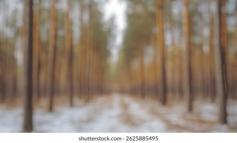 Blur Background of Serene Forest Pathway Surrounded by Tall Pine Trees in a Snowy Landscape During Winter Season. Defocused Image for Background.