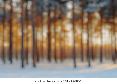 Blur Background of Serene Snow-Covered Forest at Sunset with Tall Pine Trees Bathed in Warm Golden Light. Defocused Image for Background.