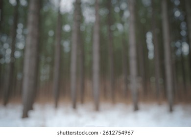 Blur Background of Serene Winter Forest Landscape with Tall Pine Trees and Snowy Ground in Calm Nature Setting. Defocused Image for Background.