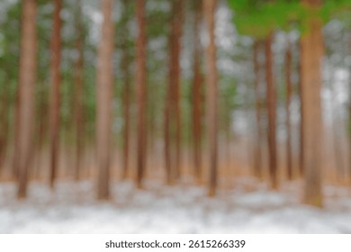 Blur Background of Serene Winter Forest Landscape with Tall Pine Trees and Snowy Ground in Tranquil Natural Setting. Defocused Image for Background.