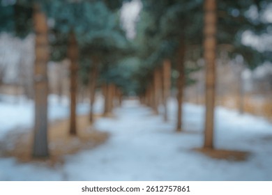 Blur Background of Serene Winter Pathway Surrounded by Tall Pine Trees in Snowy Landscape. Defocused Image for Background.