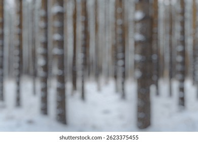 Blur Background of Snowy Forest with Tall Pine Trees and Powdery White Ground Cover in Winter Landscape. Defocused Image for Background. - Powered by Shutterstock - Get 15% off with code: PIKWIZARD15