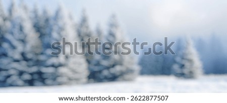 Blur Background of Snowy Pine Forest Landscape with Frost-Covered Trees Under Soft Misty Light in Winter Season. Defocused Image for Background.
