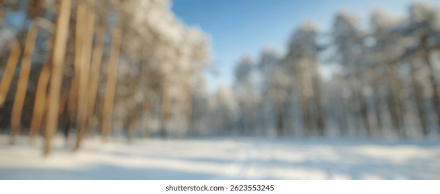 Blur Background of Snowy Winter Forest Landscape with Tall Pine Trees Under Clear Blue Sky and Soft Sunlight in Daylight. Defocused Image for Background. - Powered by Shutterstock - Get 15% off with code: PIKWIZARD15