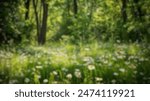 Blur background of sunlight shining though the tree with grass field. Soft light nature photography. Peaceful nature and solitude concept. Design for relaxation and meditation spaces. Clean. Spate.
