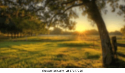 Blur background of sunrise over dewy grass with bokeh effect. Sun shinning through tree in the forest. Nature and morning scenery concept. Design for poster, wallpaper, banner, greeting card. Spate. - Powered by Shutterstock