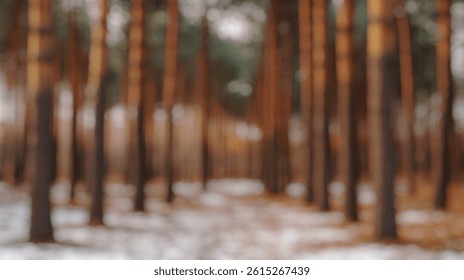 Blur Background of Tranquil Path Through Tall Pine Trees in Snowy Forest Landscape During Early Morning Light. Defocused Image for Background. - Powered by Shutterstock - Get 15% off with code: PIKWIZARD15