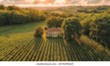 Blur background of vineyard rows in bright sunlight, nestled between hills and trees. Sunlit agricultural landscape. Wine country and sustainable farming concept. Design for wallpaper, poster. Spate. - Powered by Shutterstock