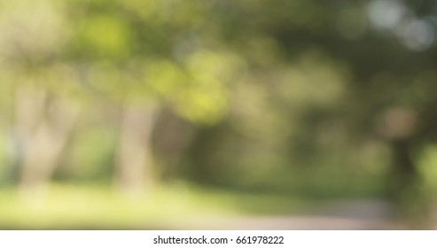 Blur Background Without People In Park, Wide Photo