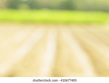 Blur Backgrounds With Farm Lands