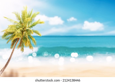 Blur Beautiful Nature Green Palm Leaf Stock Photo (Edit Now) 642985345