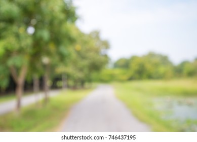 Blur of city park bokeh background in summer, green nature concept