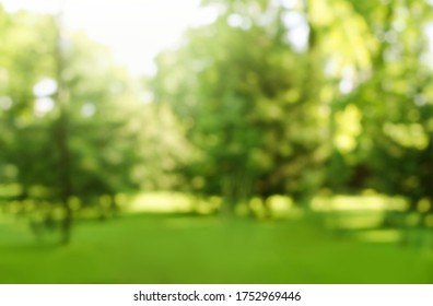 Blur Defocused Park Garden Tree In Nature Background, Blurry Green Bokeh Light Outdoor In Summer Background