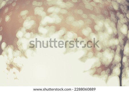 Blur dream like sunshine shade clean morning nature and bokeh background concept modern csr theme, eco spring, fresh vintage gold bio farm. Abstract pastel pale shade in summer wallpaper