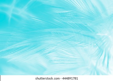blur feather luxurious colorsoft turquoise emerald green texture background - Shutterstock ID 444891781