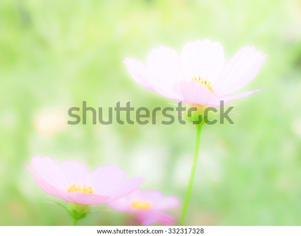 Blur Flower Background Stock Photo (Edit Now) 332317328