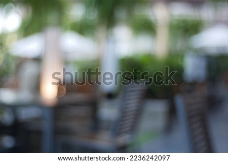 Planting on the terrace