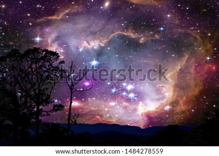 blur fog nebula back on night cloud sunset sky silhouette tree, Elements of this image furnished by NASA