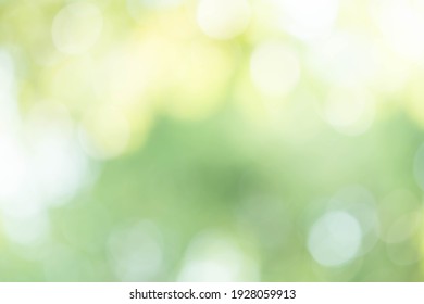 Blur Green Bokeh Nature Background