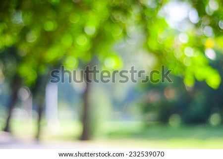 Blur green leaves with bokeh, abstract background, template