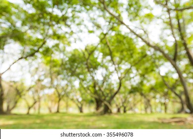 Featured image of post Tree Bakground : Here you can explore hq tree polish your personal project or design with these tree transparent png images, make it even more.