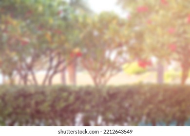 Blur Green Park, Garden Outdoor Background, Blurry Tree Nature With Bokeh Light Background, Blur Nature Park In Spring And Summer