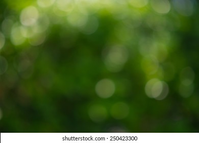 Blur Green Trees,Green Bokeh