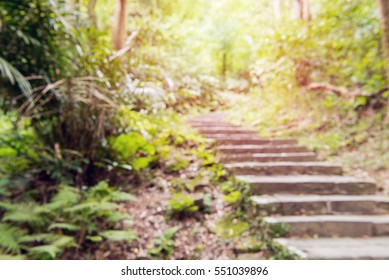 trail background