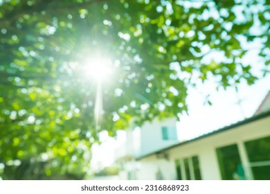 Blur image of Sun rays shines through forest trees,nature of green leaf in garden at summer,sunlight spring summer concept nature background. - Shutterstock ID 2316868923