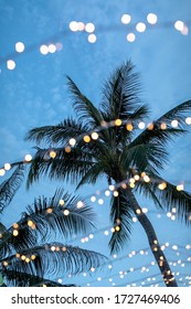 Blur Light Chain Decoration On Foreground With Twilight Time And Coconut Tree Background. Sunset. Blue Sky. Festive Lights Garland. Light Bulbs On String Wire With Sunset Sky,