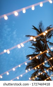 Blur Light Chain Decoration On Foreground With Twilight Time And Coconut Tree Background. Sunset. Blue Sky. Festive Lights Garland. Light Bulbs On String Wire With Sunset Sky,