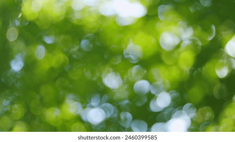 Blur natural green leaves bokeh background. Green bokeh on nature abstract blur background. Blur. - Powered by Shutterstock