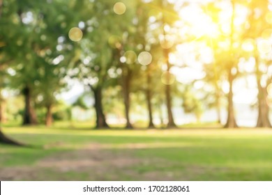 Blur nature bokeh green park by beach and tropical coconut trees in sunset time. - Shutterstock ID 1702128061
