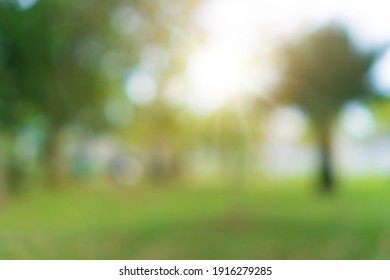 Blur Nature Bokeh Green Park By Beach And Tropical Coconut Trees In Sunset Time.