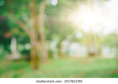 Blur Nature Bokeh Green Park By Beach And Tropical Coconut Trees In Sunset Time.