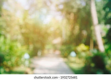 Blur nature bokeh green park by beach and tropical coconut trees in sunset time. - Shutterstock ID 1932725681